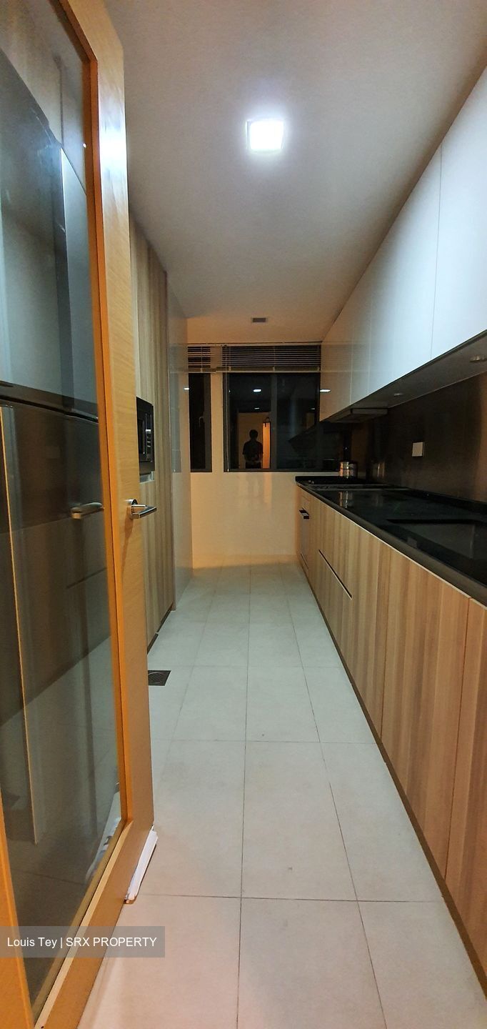 Cityscape @ Farrer Park (D8), Condominium #556161151